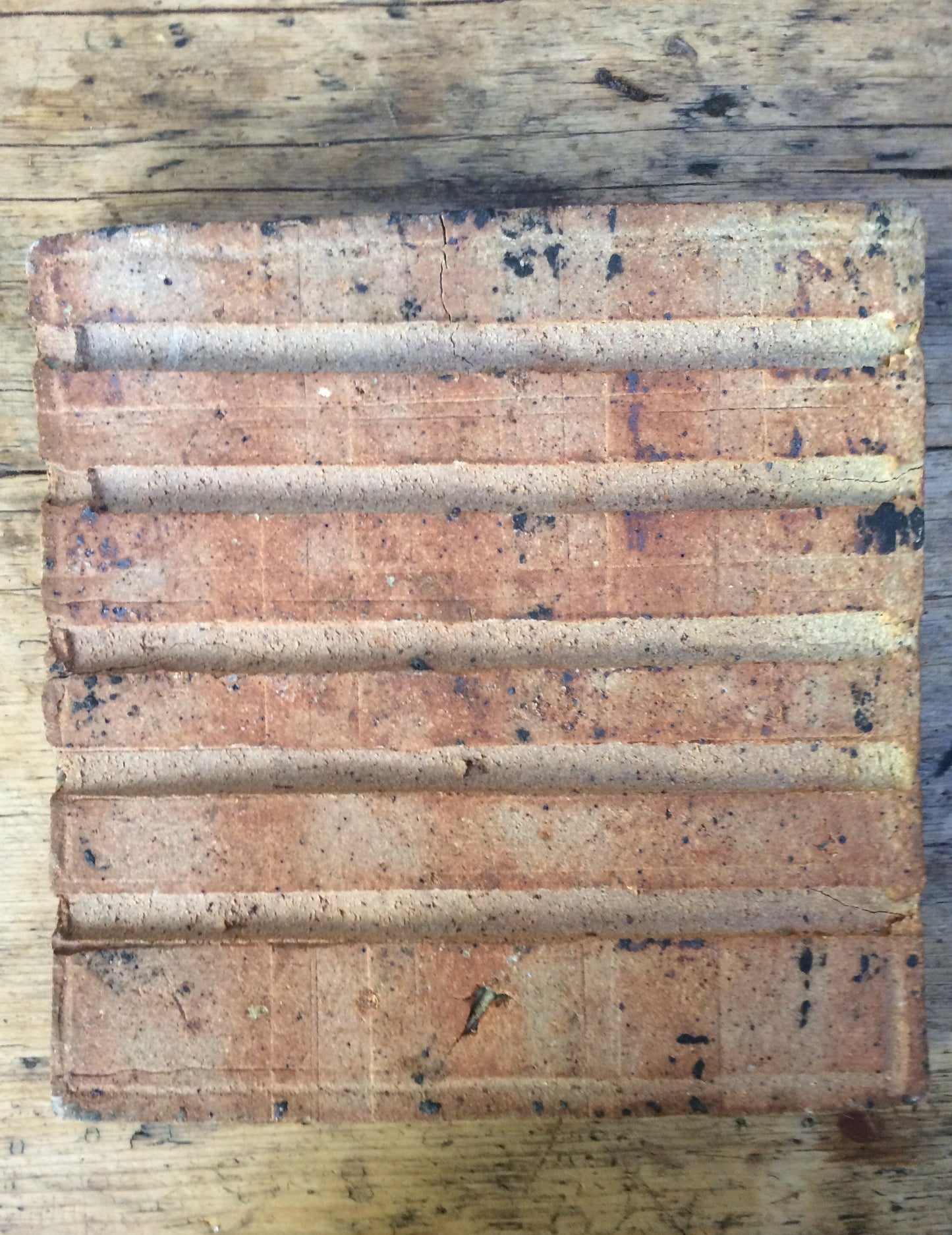 Monochromatic with Speckled Blue Ceramic Tile with Footprint Mid Century