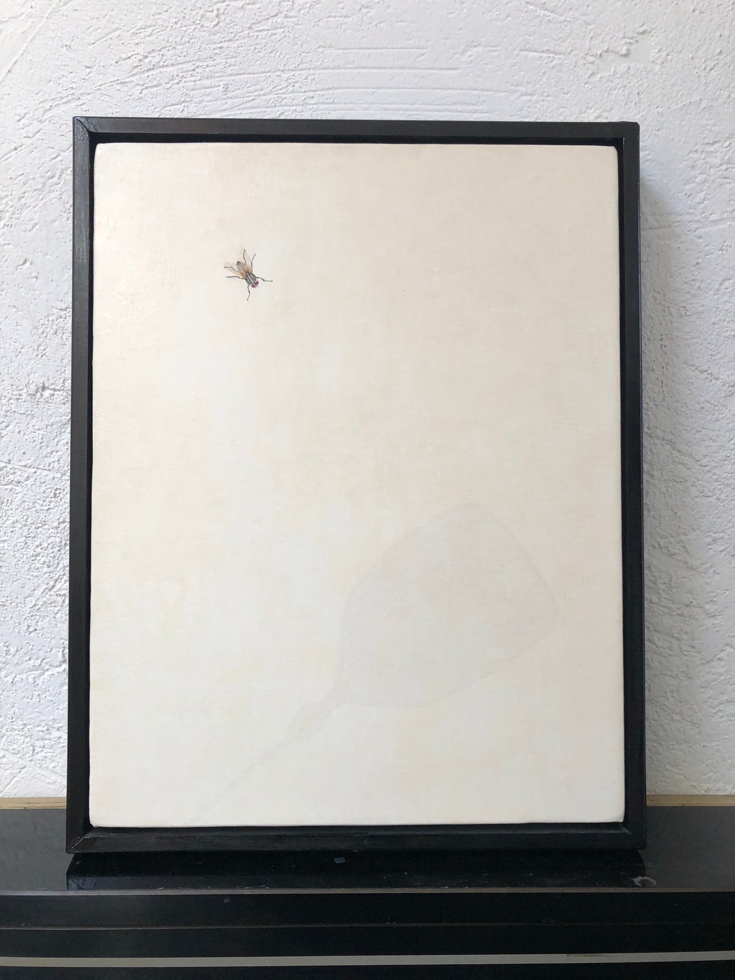 Fly and Flyswatter by James J. Montagano, M.D.