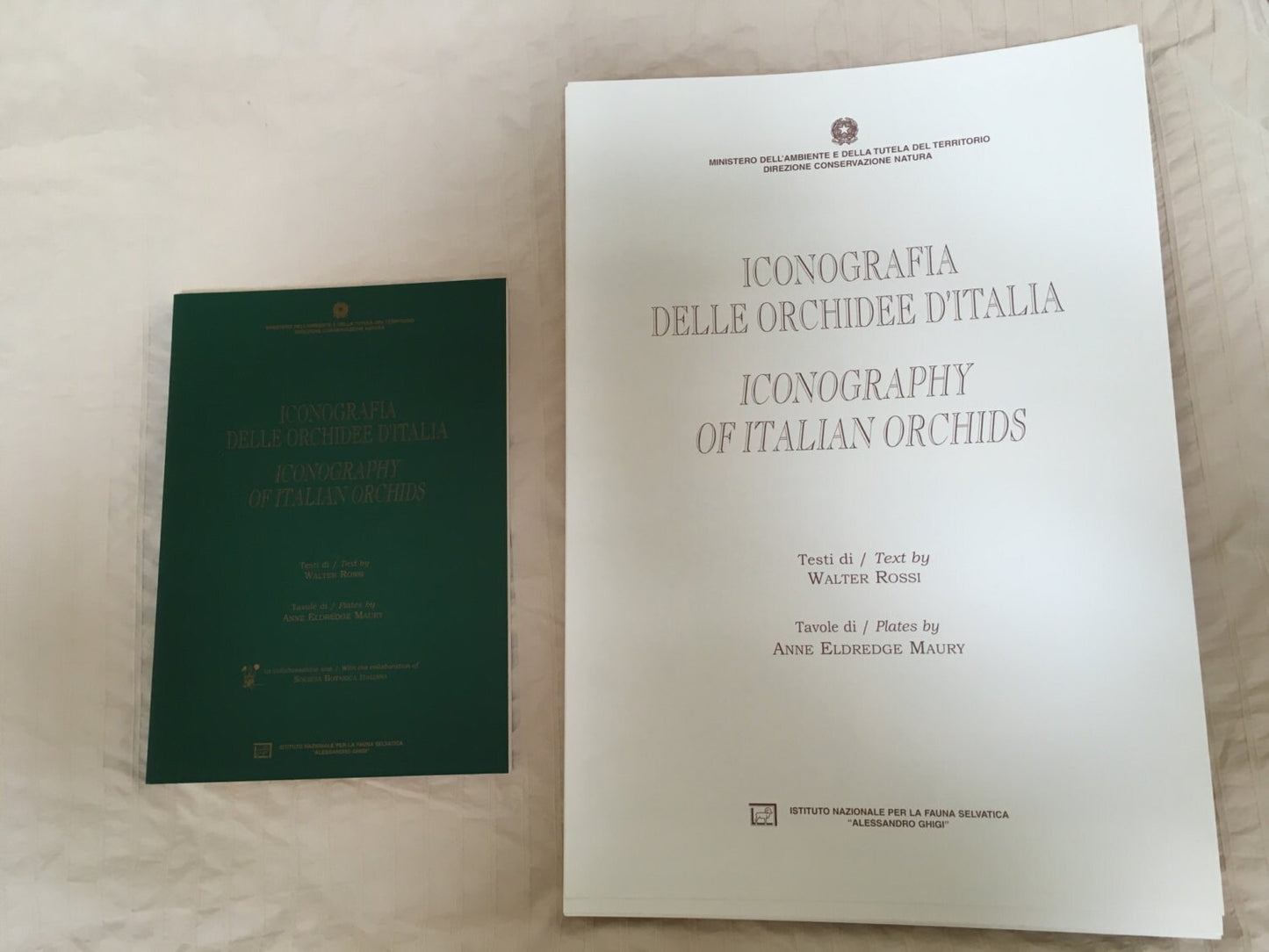 Iconography of Italian Orchids