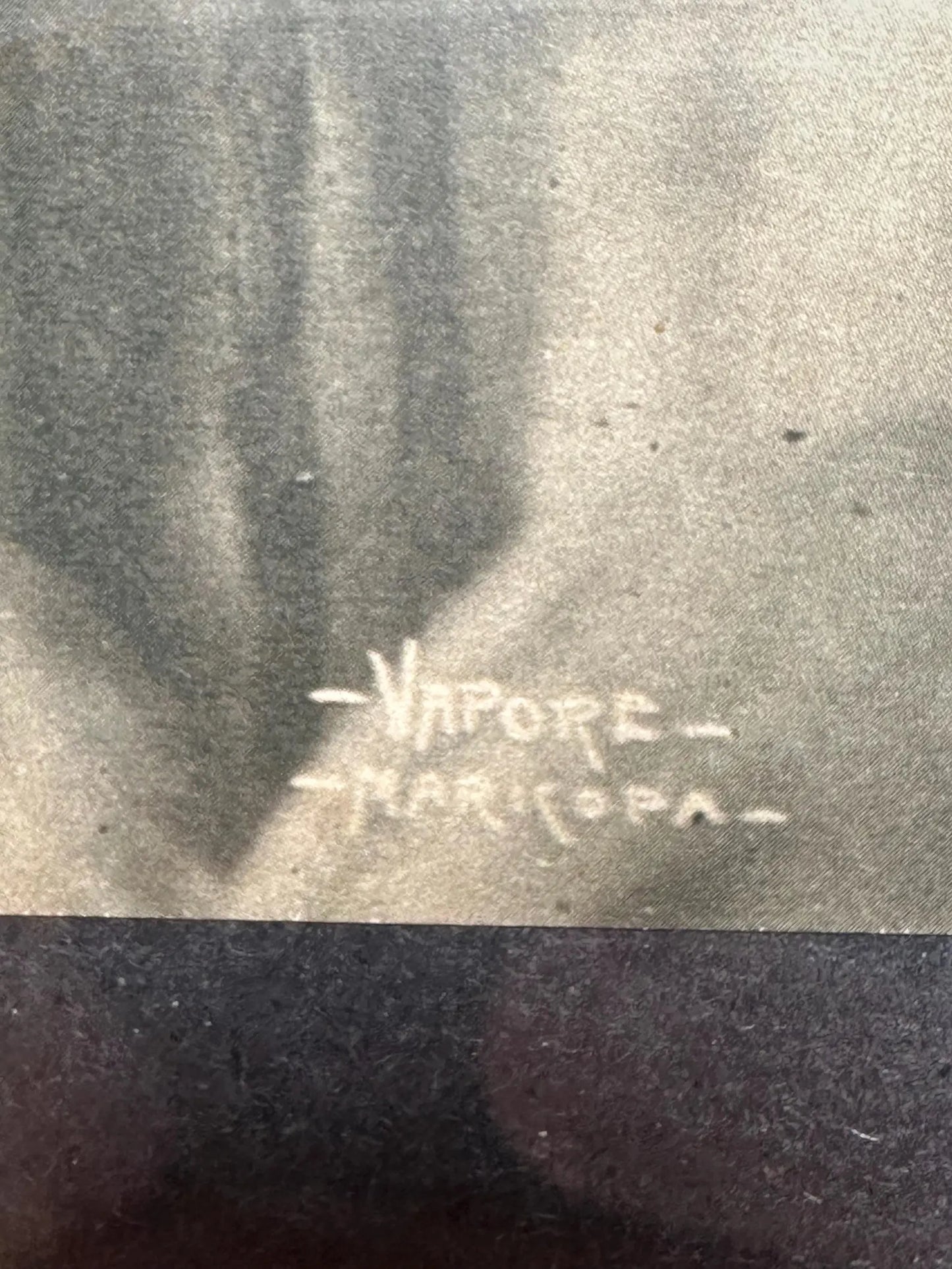 Vintage Black and White Studio Photos of American Indians 1800s