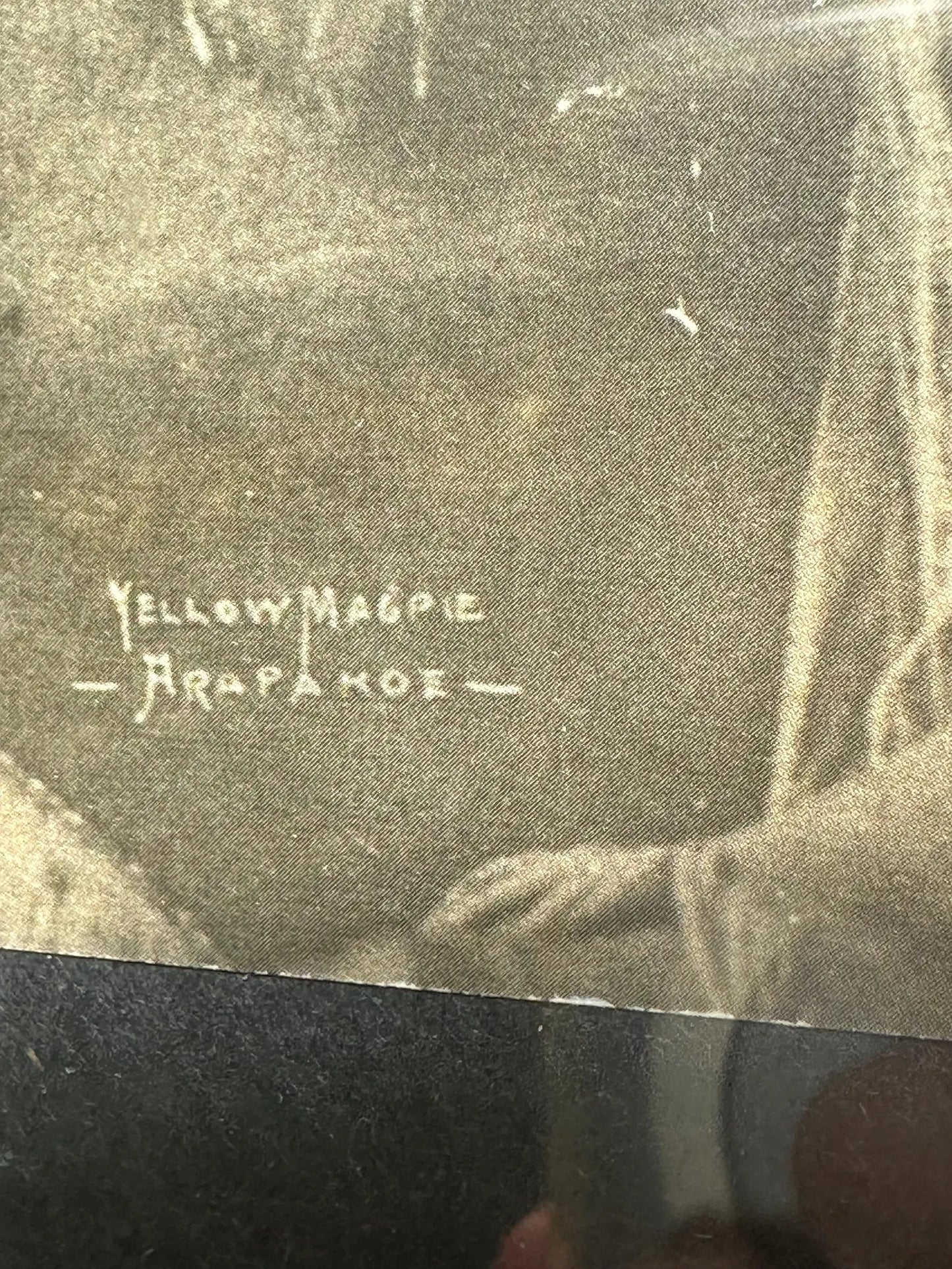 Vintage Black and White Studio Photos of American Indians 1800s