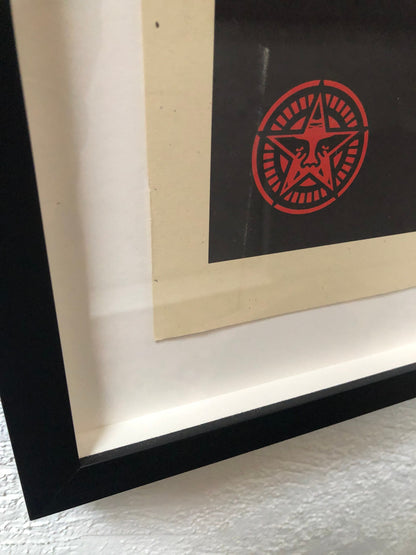 Shepard Fairey Natural Springs Print