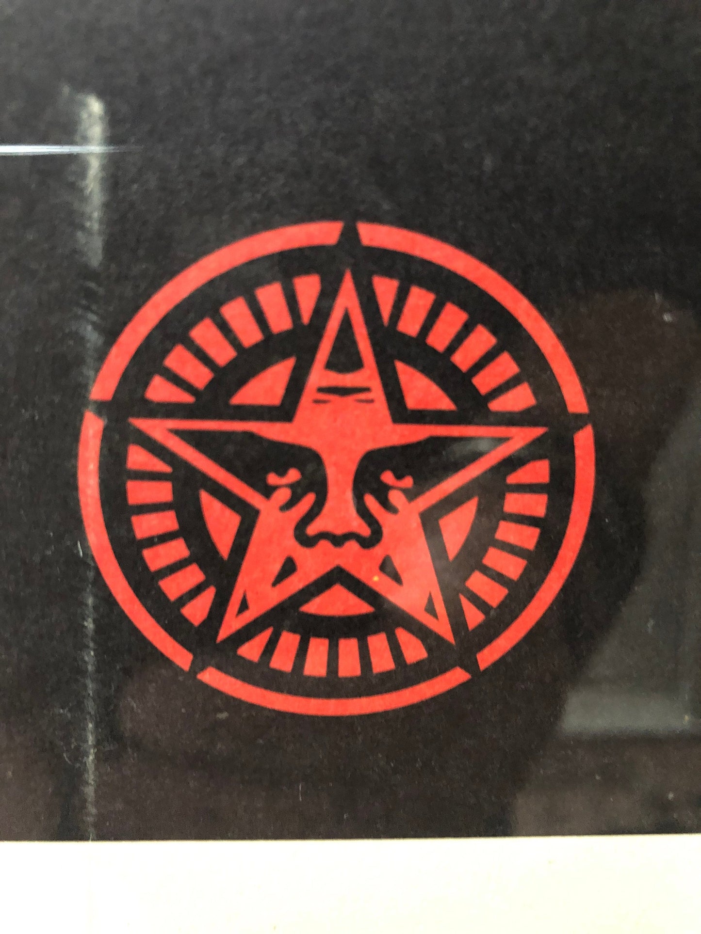 Shepard Fairey Natural Springs Print