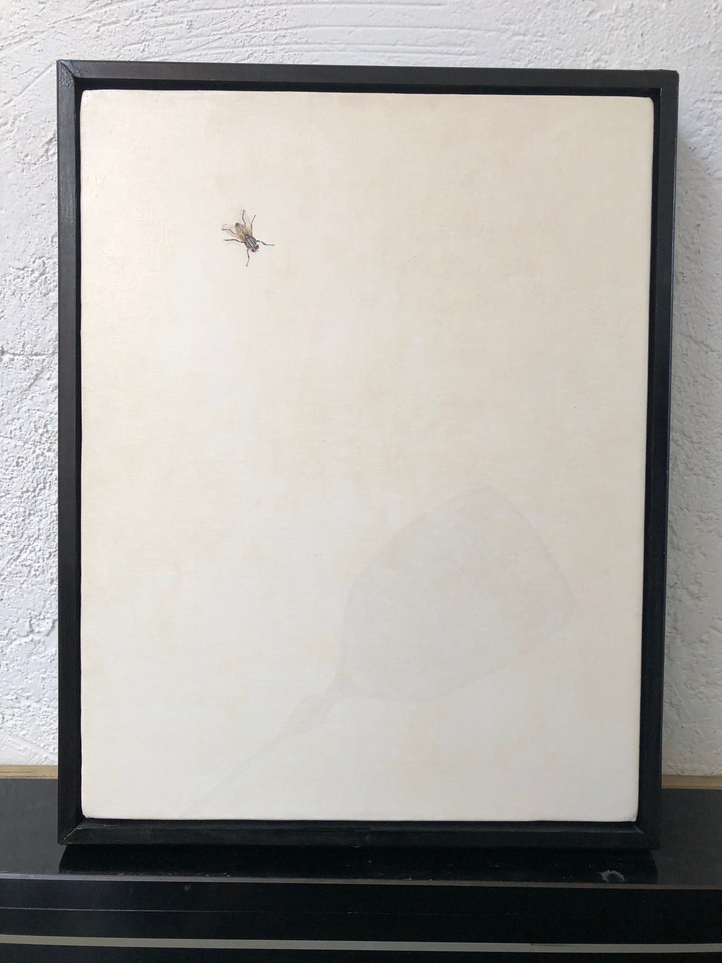 Fly and Flyswatter by James J. Montagano, M.D.