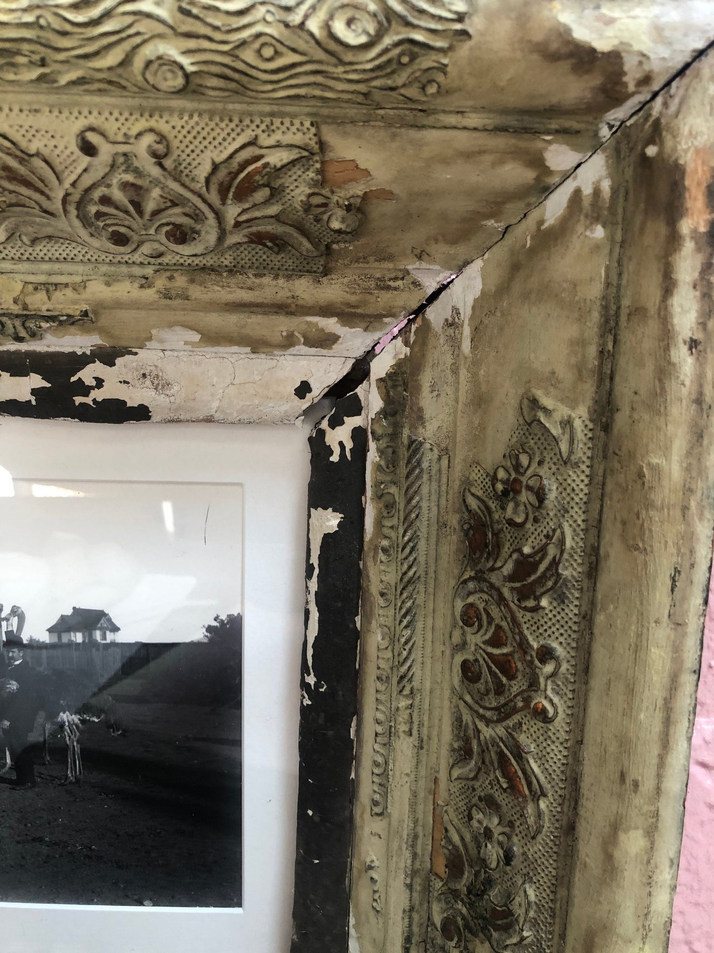 Antique Vintage Black and White Photograph of Ostrich Farm