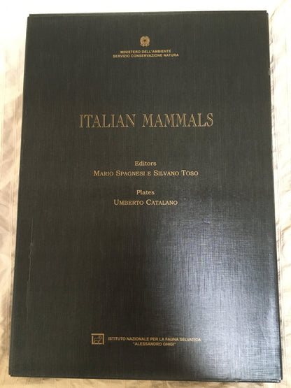 Italian Mammals